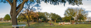 san jacinto houston tx funeral home cremation burial